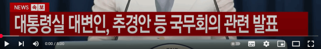 민생회복 소비쿠폰 발표